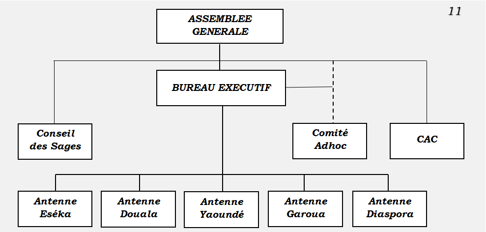 Organigramme de l’association